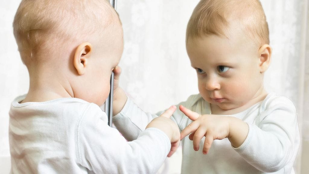 shutterstock_129088694