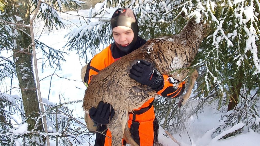 Mikko Koskimies Länsi-Uudenmaan pelastuslaitos metsäkauris pelastus