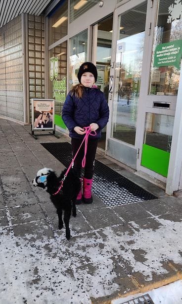 KUVA VAIN LIFESTYLEEN Kuva Maikki Siutla