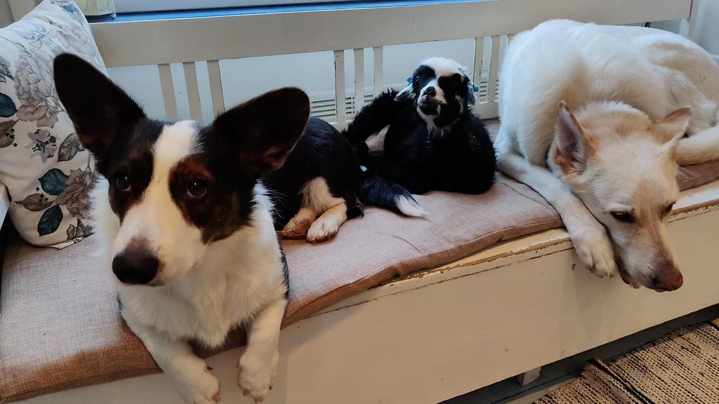 KUVA VAIN LIFESTYLEEN! Kuva Maikki Siutla