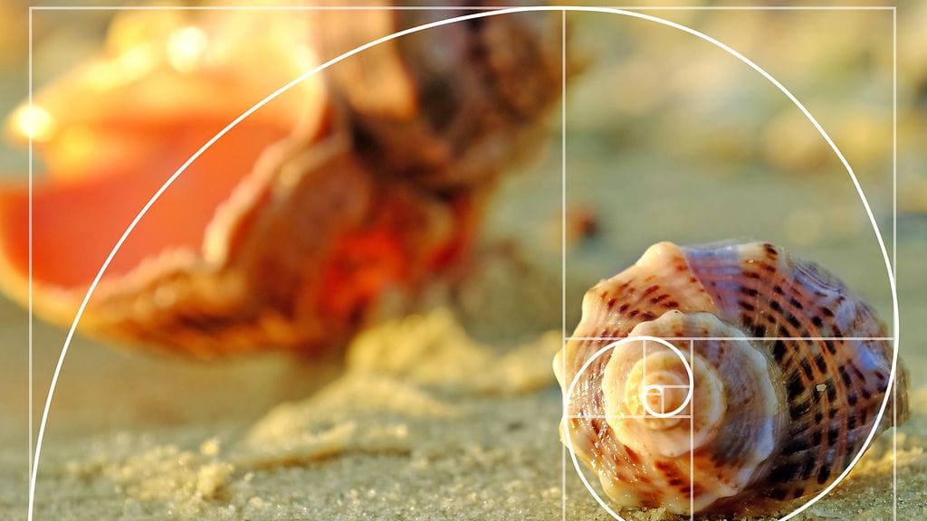 Africa Studio shutterstock_430253152