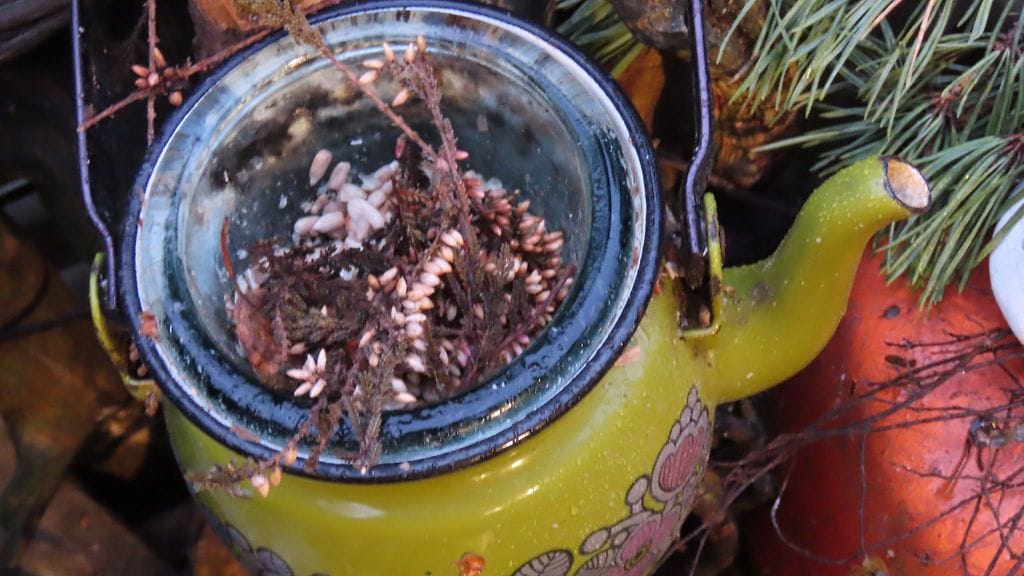 Mitä ihmettä hiiri rakentaa kuvituskuva ruokintalauta