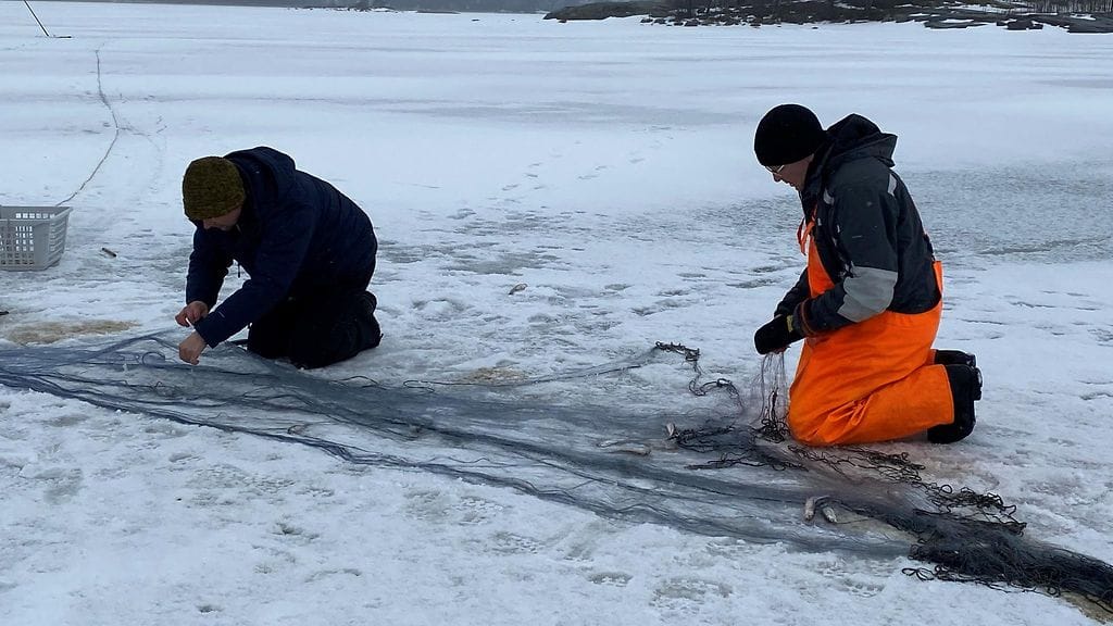 Kalastus, talvikalastus