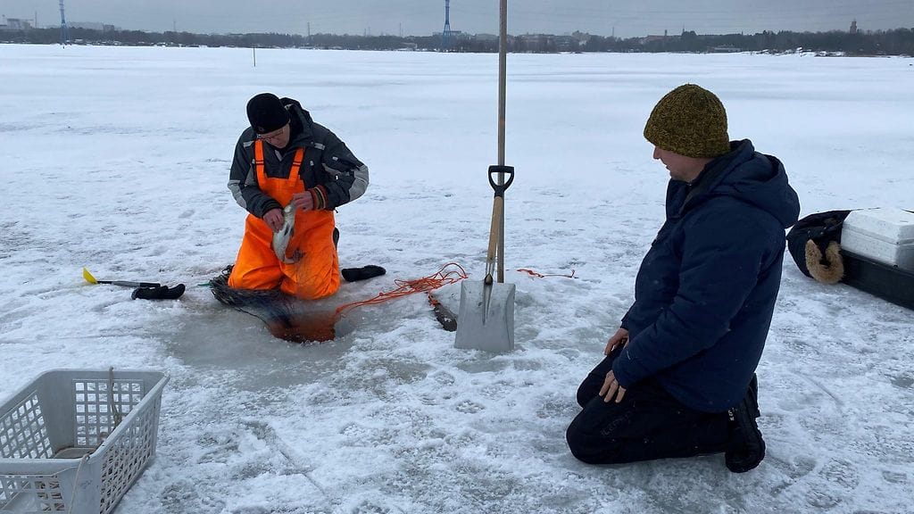 Kalastus, talvikalastus, verkot, Helsinki