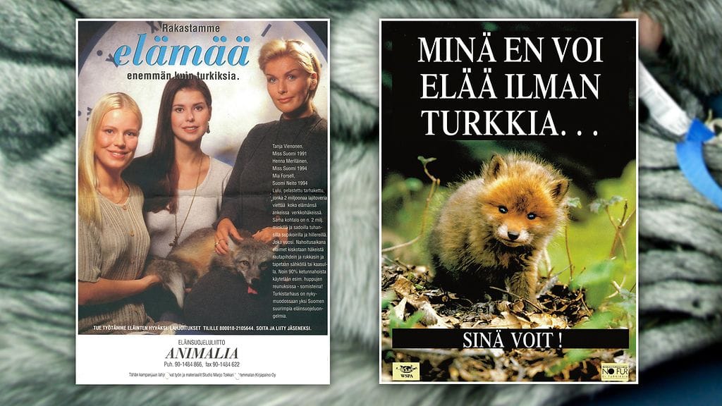 Miss Suomet Tanja Vienonen, Henna Meriläinen ja Suomen Neito Mia Forsell yhdessä pelastetun tarhakettu Lulun kanssa Animalian kampanjajulisteessa vuonna 1994