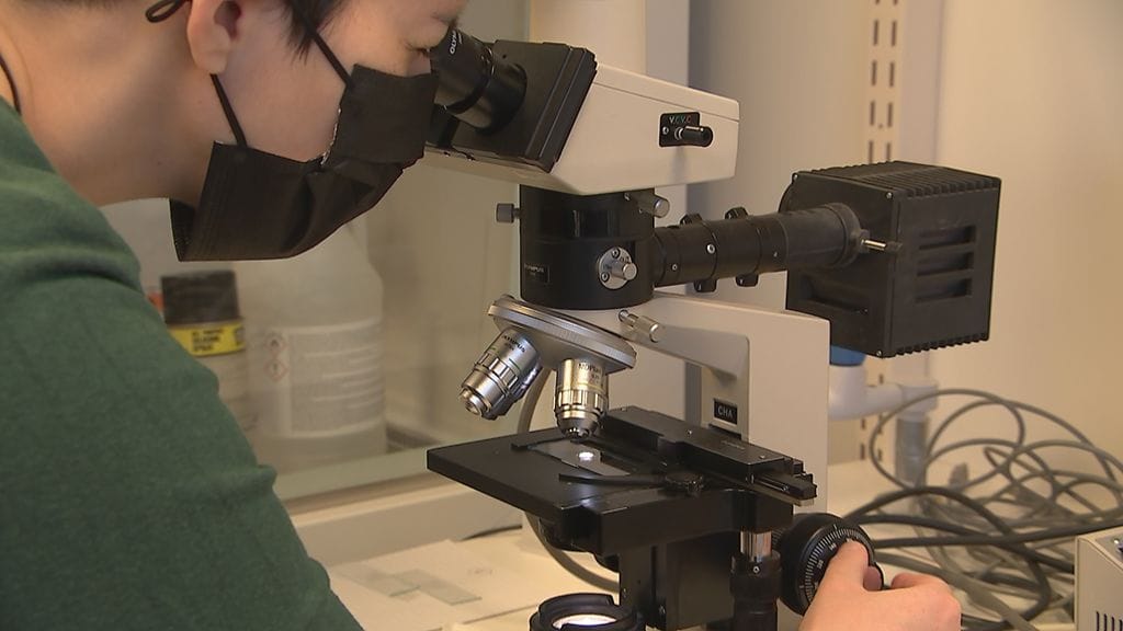 Saharan hiekka, Ilmatieteen laitos, tutkimus