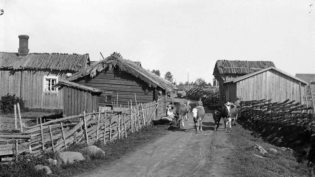 Pääsiäiskuva, karja VJ