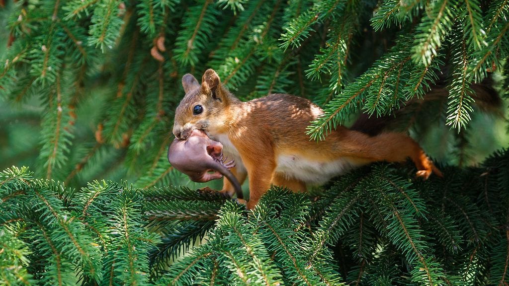 shutterstock_362008397