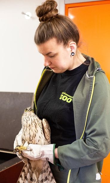 49836237103_f456ca95d4_6k