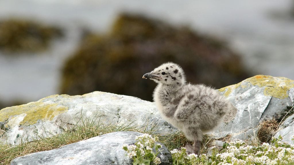 shutterstock_1923601442