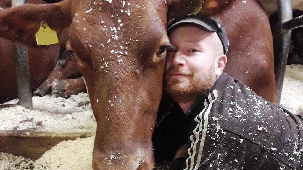 Janne Pietikäinen pyörittää Ylä-Savossa maitotilaa ja kertoo viihtyvänsä "vanhana poikana".