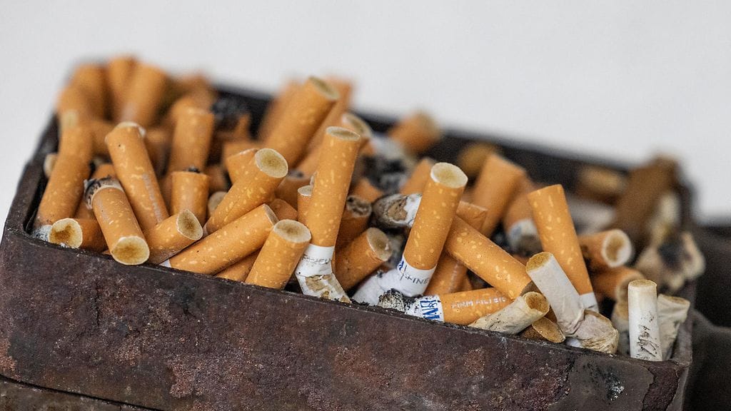 Kiellon kannatus on noussut neljän viime vuoden aikana.