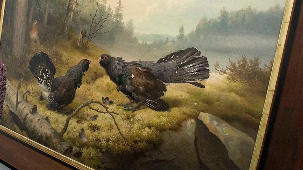 aop taistelevat metsot