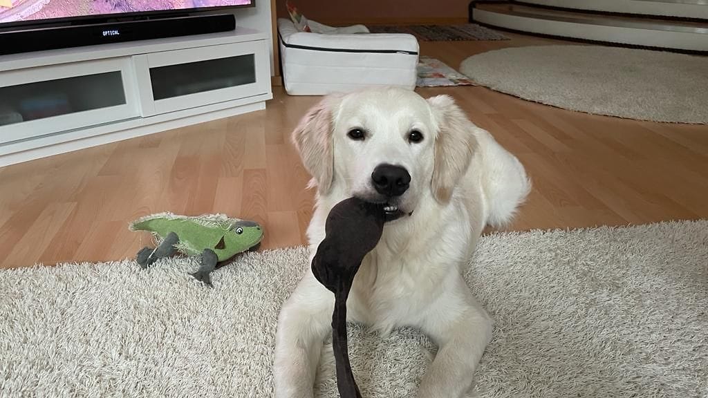 KUVA VAIN LIFESTYLEEN