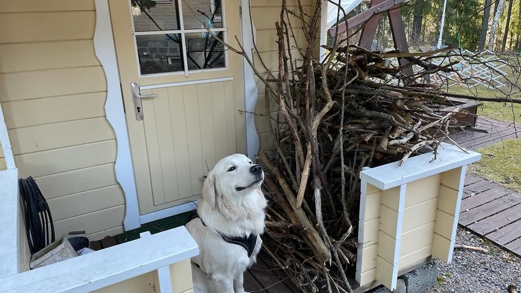 KUVA VAIN LIFESTYLEEN image00002