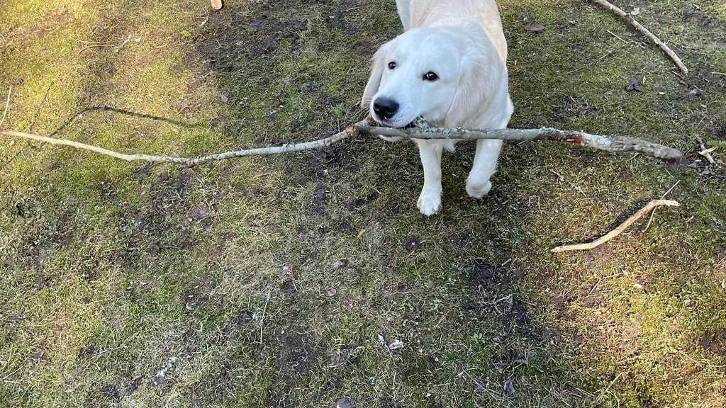 KUVA VAIN LIFESTYLEEN (1)