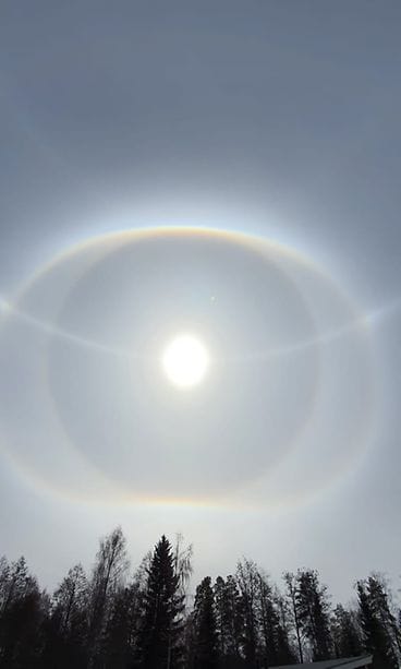 WhatsApp Image 2021-05-03 at 14.33.53