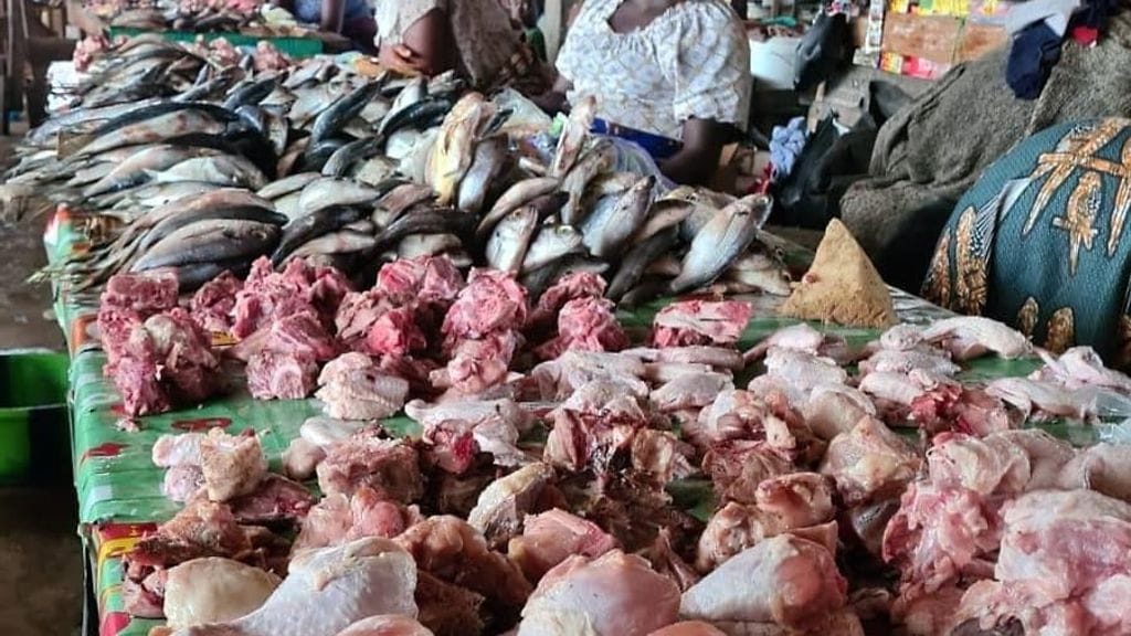 liberia sotarikos katselmus