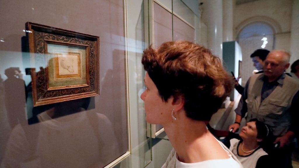 Leonardo Da Vinci karhu piirros AOP