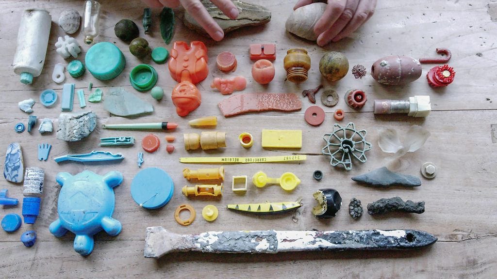 Lonneke on tehnyt asetelman päivän rantalöydöistä. Kuva: Tuffi Films Oy