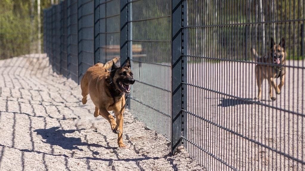 MicrosoftTeams-image (2)