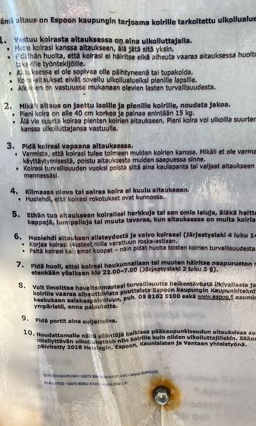 MicrosoftTeams-image (1)