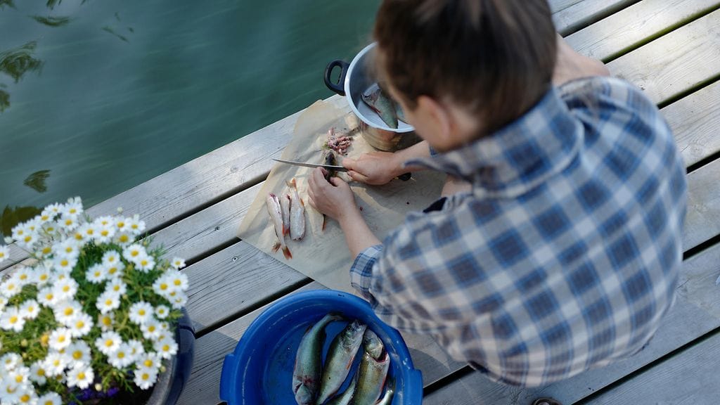 Pro Kala ry Kia Arpia