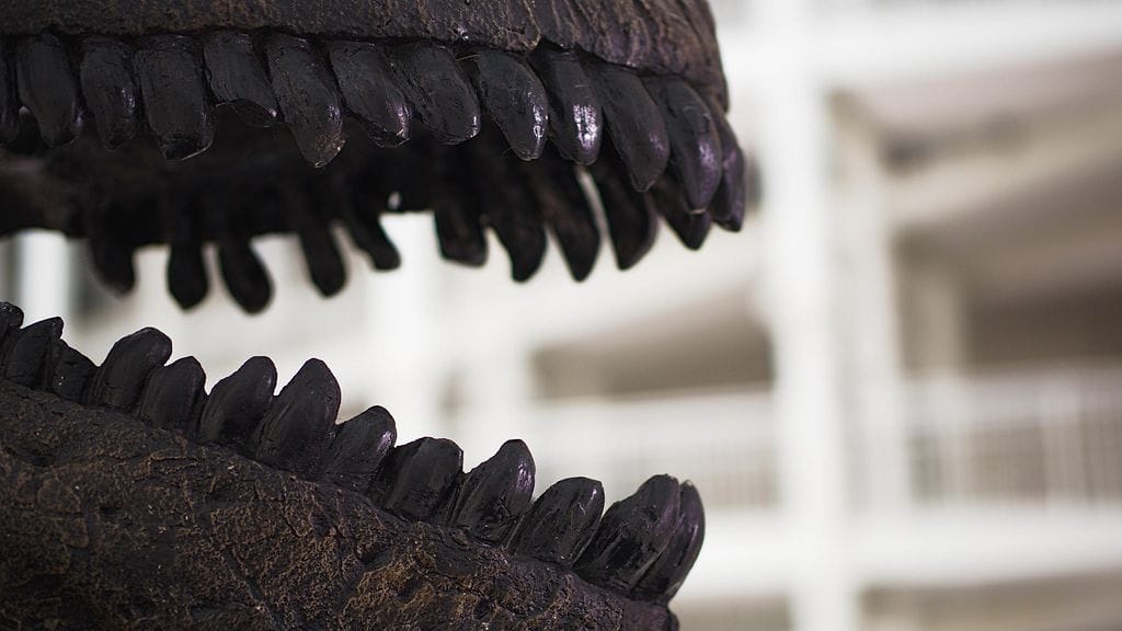 Kuvituskuvaa dinosauruksen fossiilista.