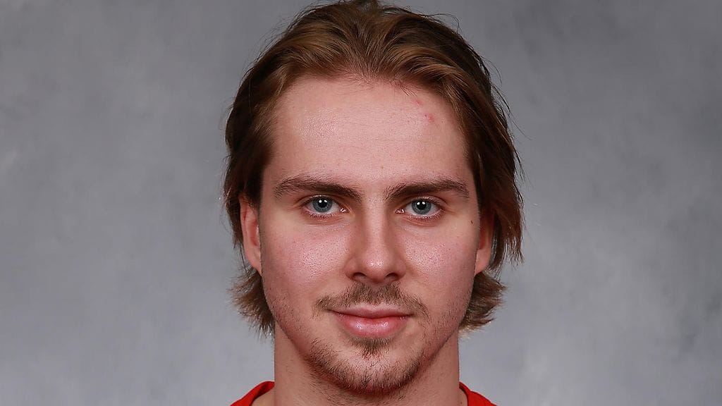 Albin Grewe on Detroit Red Wingsin kolmannen kierroksen NHL-varaus vuodelta 2019.