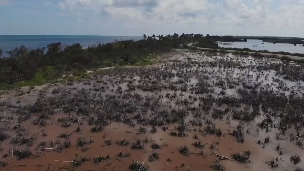 Geenimuuntelu, hyttyset, Florida
