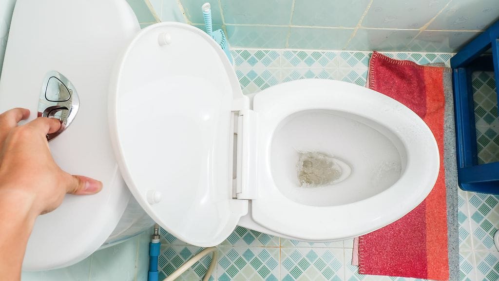 Posliinivaltaistuimeksikin kutsutut pöntöt valmistetaan posliinista.