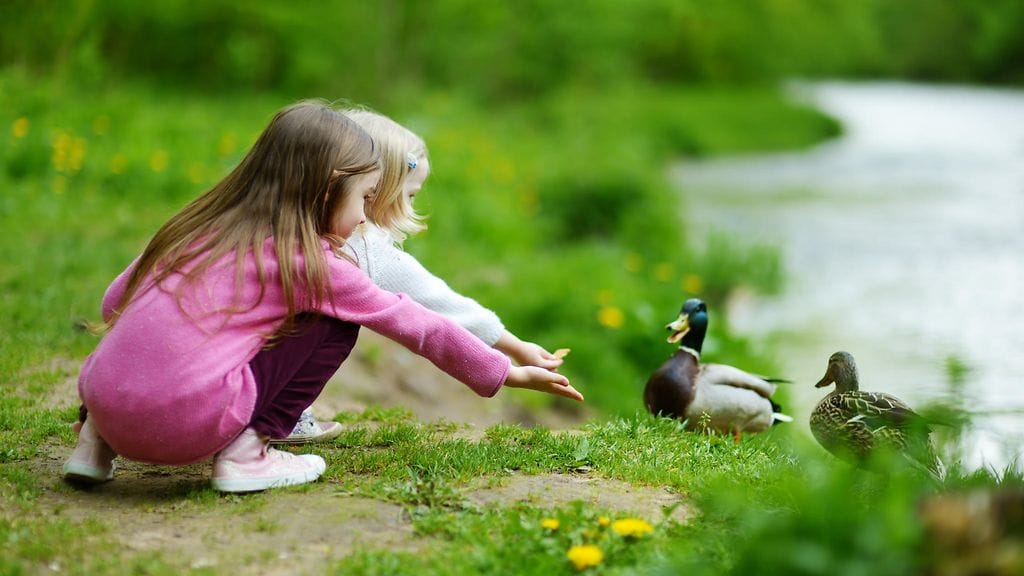 Lasten luontotietämys ei nykyaikana ole itsestäänselvyys. Kuvituskuva.