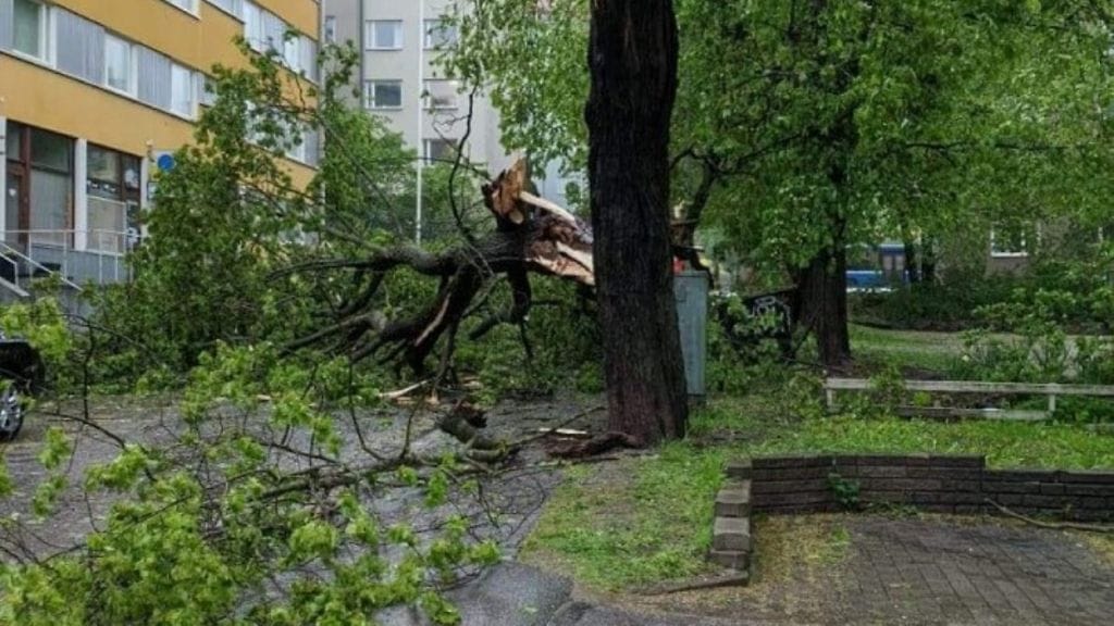 Helsingin pelastuslaitoksella on ollut tehtäviä koko iltapäivän myrskyn vuoksi. Lukijan kuva: Susanna Svartsjö.