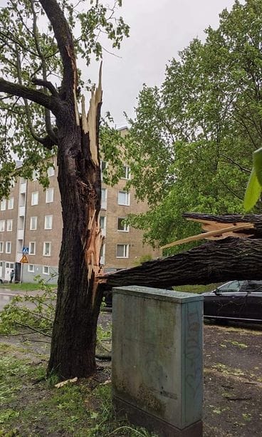 violankatu lukijan kuva 2