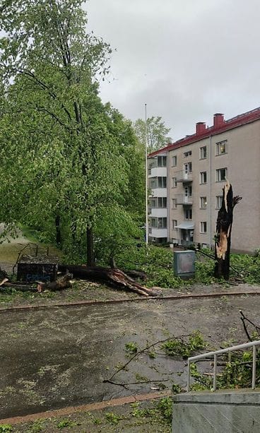 violankatu 4 lukijan kuva