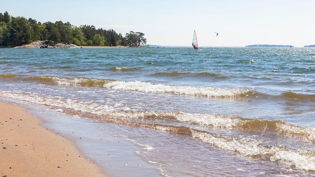Tyksin mukaan Suomessa infektion riski on olemassa pitkien hellejaksojen aikana rannikkovesissä.