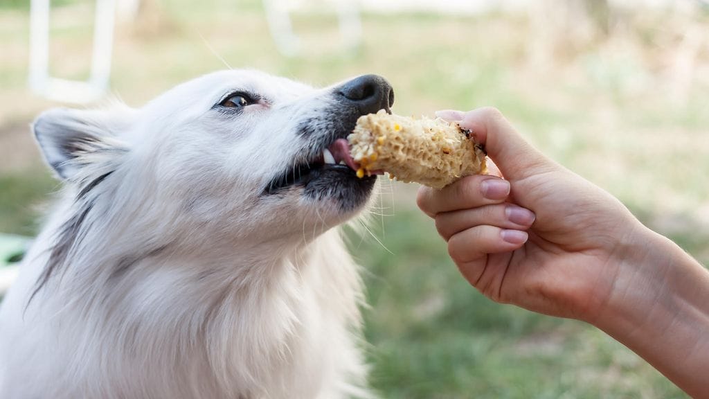 shutterstock_705251440