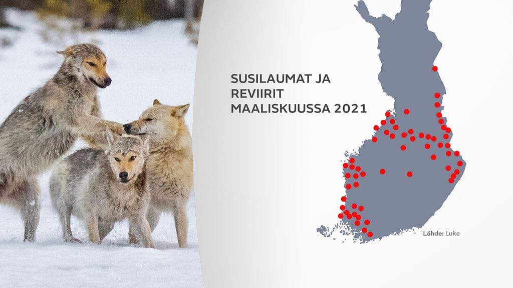 gr-0906-Suden-kanta-3-kartta