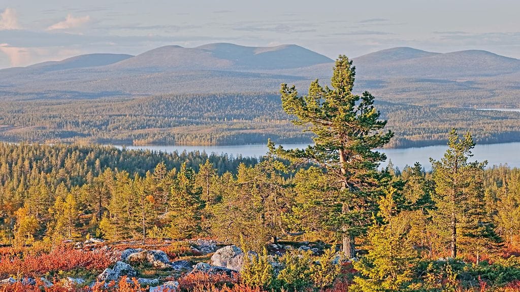 Särkitunturilta avautuu kaunis maisema Pallastunturin suuntaan.