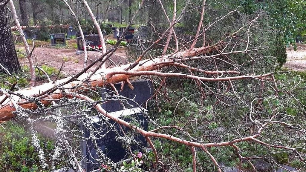 Myrskytuhoja Taivalkosken hautausmaalla 23.6.2021.