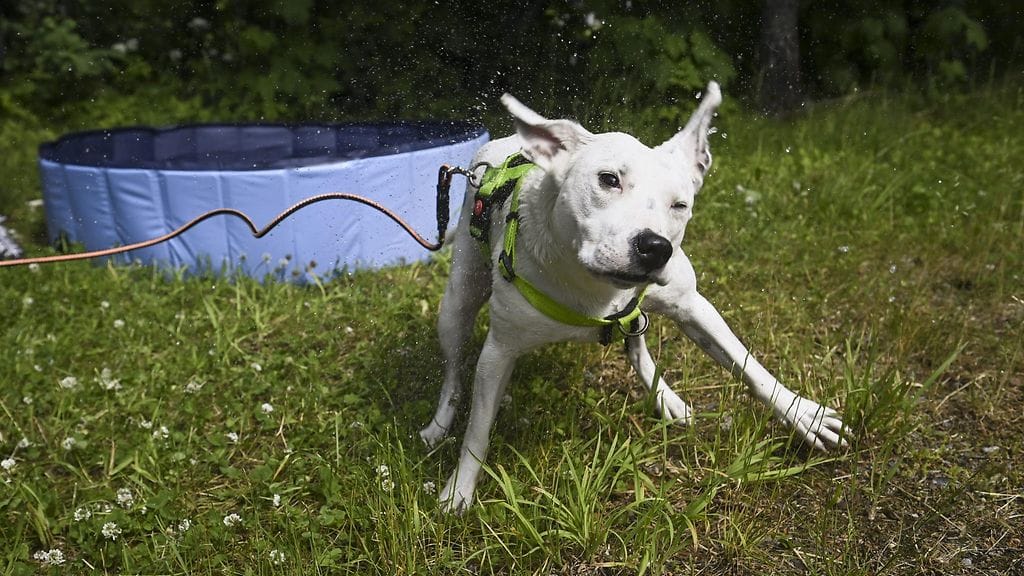 MicrosoftTeams-image (2)