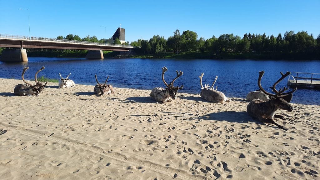 Lukijan kuva uimarannalta Lapista vuonna 2021.