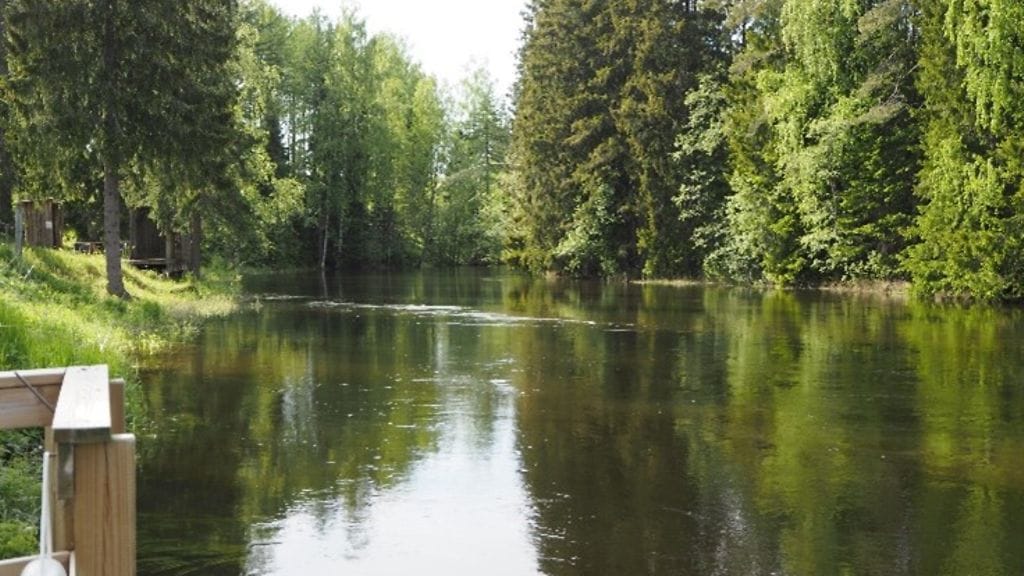 Kesäinen Hiitolanjoki.