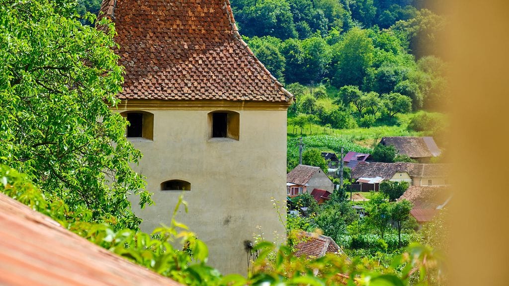 shutterstock_1442843768