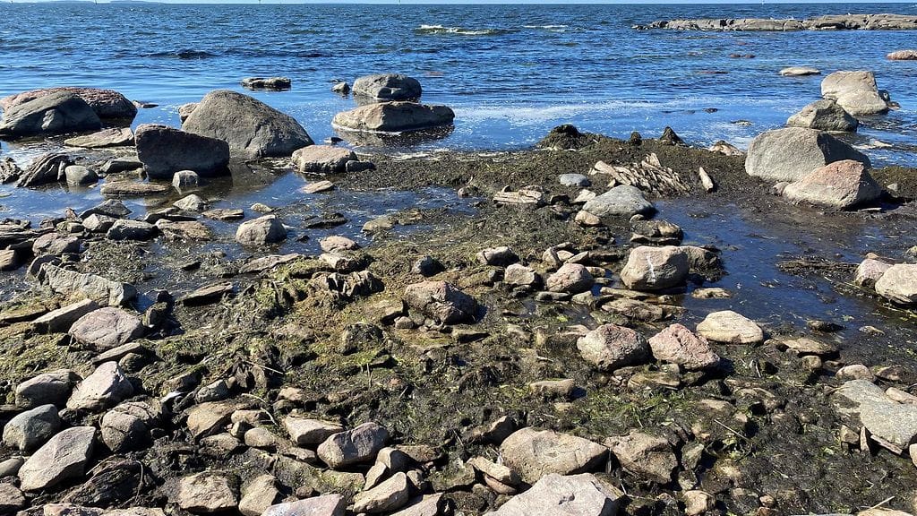 Itämeri, Pori, Levät