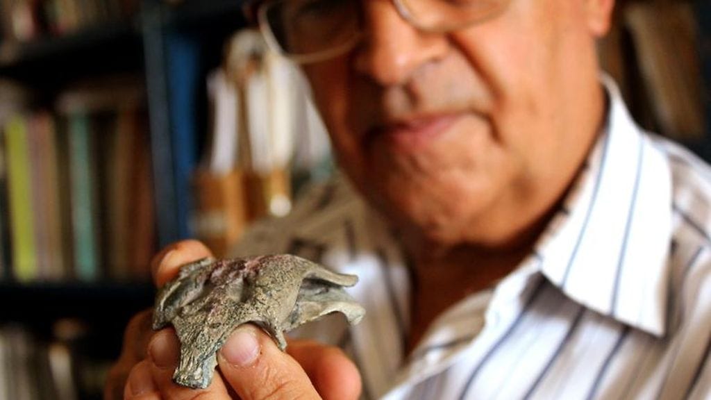 Paleontologi Fernando Novas pitää Burkesuchus mallingrandensisin fossiilista kalloa, joka voi valaista nykyaikaisten krokotiilien alkuperää.