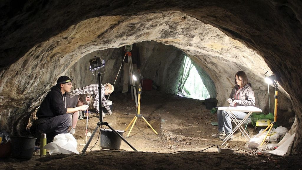 Vainaja löytyi jo 1960-luvulla Tunel Wielki -alueen luolasta Puolasta, mutta jäänteitä on alettu tutkia vasta nyt.