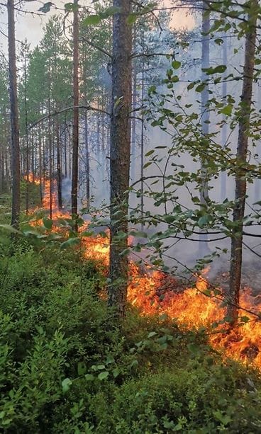 Kalajoki palo 3