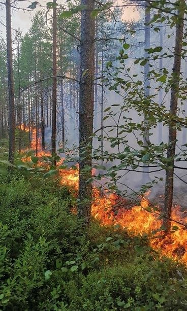Suuri maastopalo Kalajoella heinäkuussa 2021.