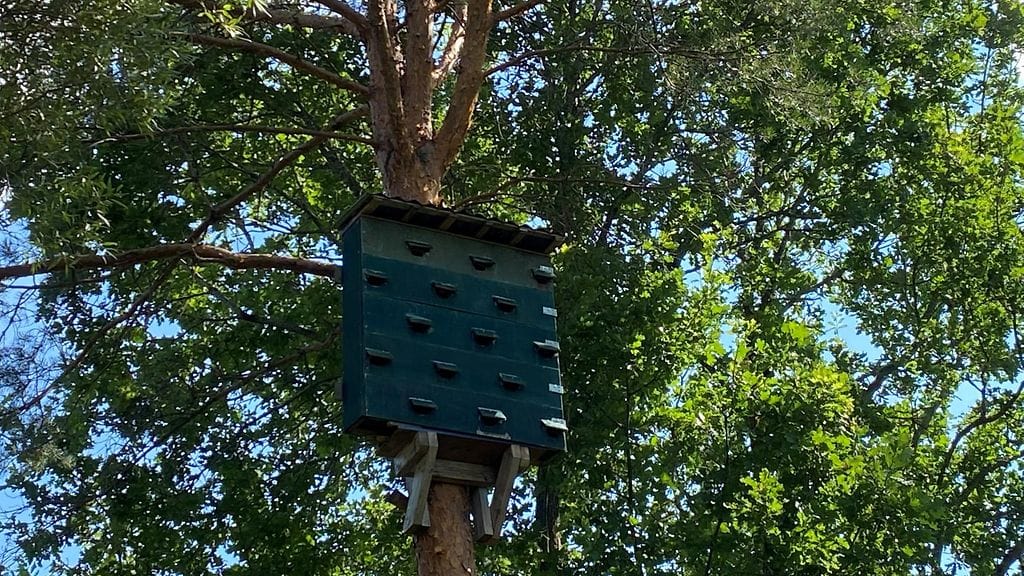 Tervapääskykerrostalo